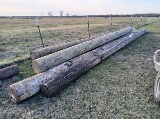Telephone Poles