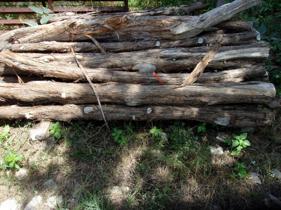 Cedar post