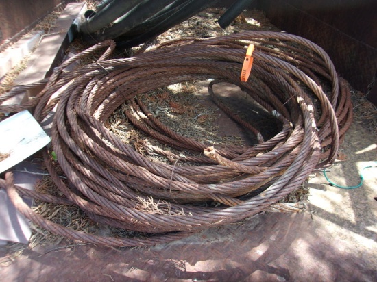 Cable and Hose