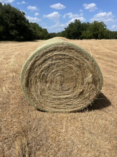 Hay