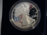 1999 American Eagle 1 Oz SILVER Proof Coin