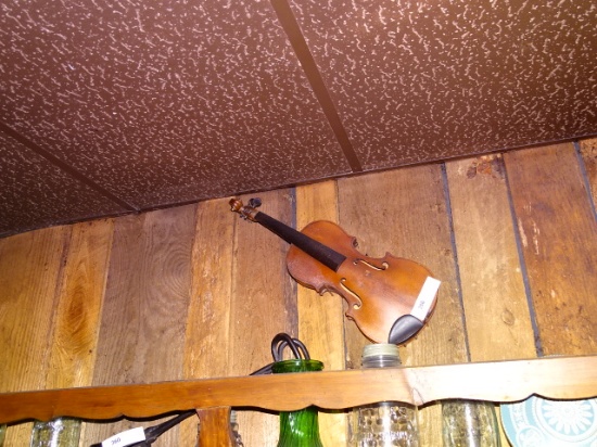 Violin