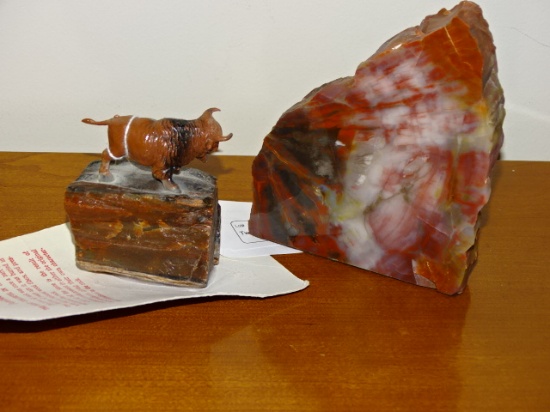 Two Piece Set Petrified Wood Set