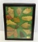 14 Native American Arrowheads In Display Box