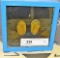 2 Trilobite Fossils