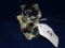 Fenton July Bear