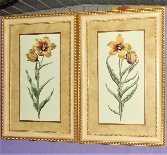 PAIR of LARGE FRAMED FLORAL PICTURES MATCHING
