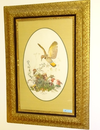 LARGE PRINT  W/ HUMMINGBIRD YELLOW SHAFTED FLICKER
