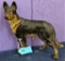 HUBLEY GERMAN SHEPARD DOORSTOP 8