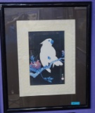 LARGE FRAMED PARROT PRINT