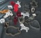 VINTAGE LOT OF MISC COOKIE CUTTERS