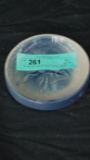 BLUE AND WHITE SALT GLAZE SOAP DISH