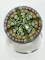 PERTHSHIRE 8 SPOKE TWIST MILLEFIORIA PAPERWEIGHT