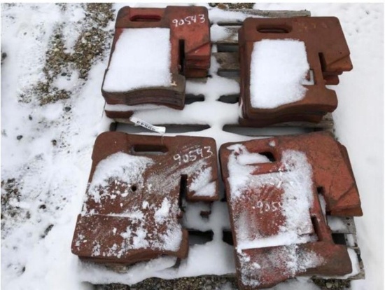 90543- 100# FOUNDRY WEIGHTS FOR IH (12)