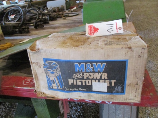 1116- M & W PISTON SET