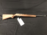 207-RUGER 10/22