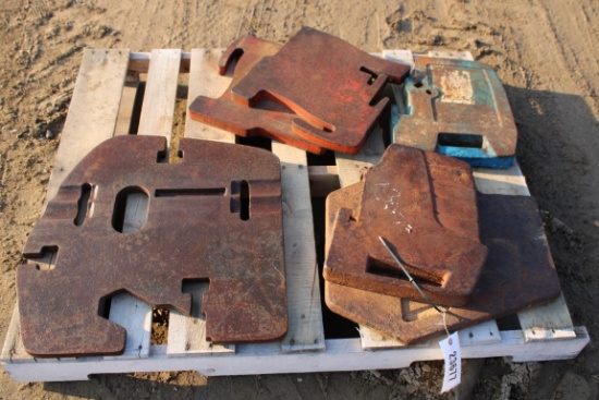 23677-(6) MISC WEIGHTS