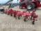 Wilrich 6 Row Cultivator