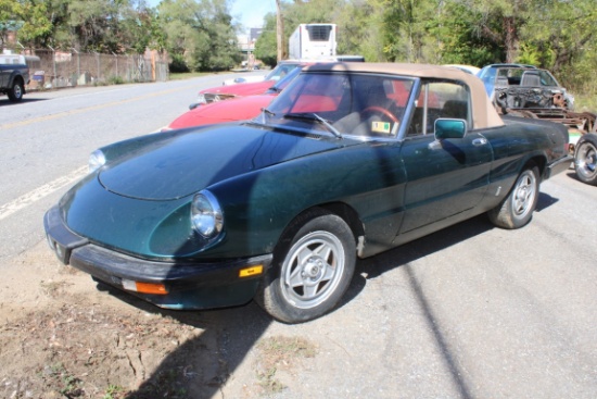 31166-ALFA ROMEO SPIDER