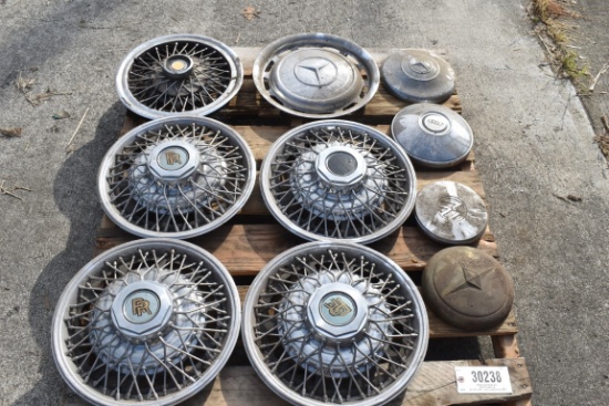 30238- (10) MISC. HUB CAPS/ WHEEL COVERS