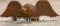 Wooden Eagle Carving