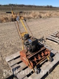 BRIGGS REEL MOWER