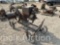 INTERNATIONAL 6HP ENGINE ON TRUCKS