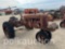 3863-FARMALL BN (SN#61463)
