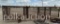 5678-5 CATTLE PANELS (24'W x 66''T)