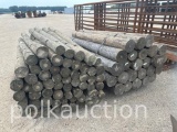 6935-1-BUNDLE OF (24) 7