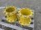 270 - (2) 10 - BOLT 13