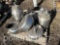 PALLET OF MILK CANS (CF)