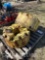 (2) JOHN DEERE REAR WEIGHTS (SOLD x $) (CF)