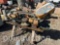 WELLSAW BAND SAW MODEL 600 (CF)