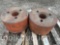 (2) LARGE WHEEL WEIGHTS (SOLD x $) (CF)