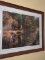 FRAMED NORTHERN CALIFORNIA REDWOODS PHOTOGRAPH