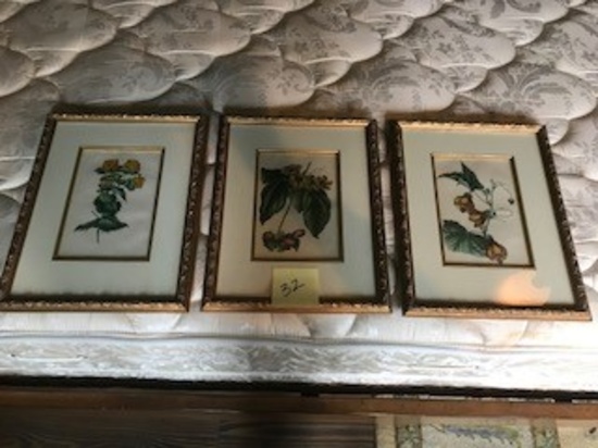 (3) PICTURES W/ GOLD FRAMES