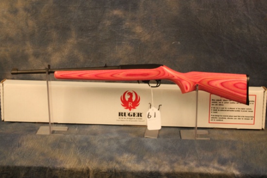 61. Ruger 10/22 Youth Pink Lam. Stock SN:352-12179