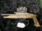 251. Magnum Research Mod. MLP-1722, Laminate Stock . 22 Target Pistol, Heavy Barrel, Red Dot Scope