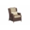 2 Brown Jordan Vineyard Patio Motion Lounge Chairs in Meadow with Aphrodite Spring Lumbar Pillow