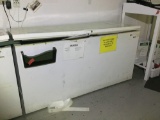 Large Reach in Chest Style Freezer