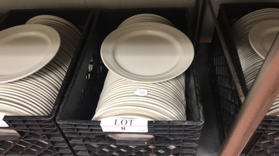 Dinner Plates