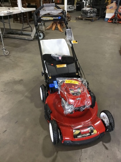 Briggs & Stratton Toro Recycler Self-Propelled 22in. 163cc Gas Powered Lawnmower