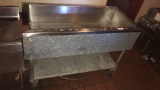 Under counter Ice Bin