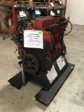 Navistar DT466 in-line 6 Cylinder Engine