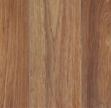 (14) Cases of Home Decorators Collection Charleston Hickory Laminate Flooring