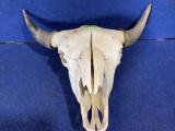 Large Bull Skull