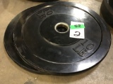 (2) 10LB. Bumper Weights