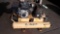 DeWALT 5.5 HP 8 Gallon Portable Gas Air Compressor