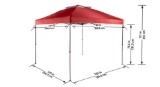 Everbilt 10 ft. x 10 ft. Instant Canopy